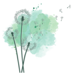 Natural-success-dandelion-icon-3