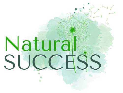 Natural Success Personal and Leadership coaching logo